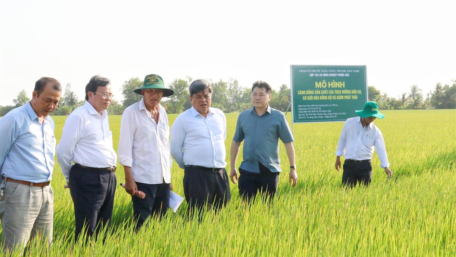 Khuyến nông cung ứng đội ngũ nông dân chất lượng, chuyên nghiệp, có mặt trên mọi lĩnh vực ngành nông nghiệp - Ảnh 2.