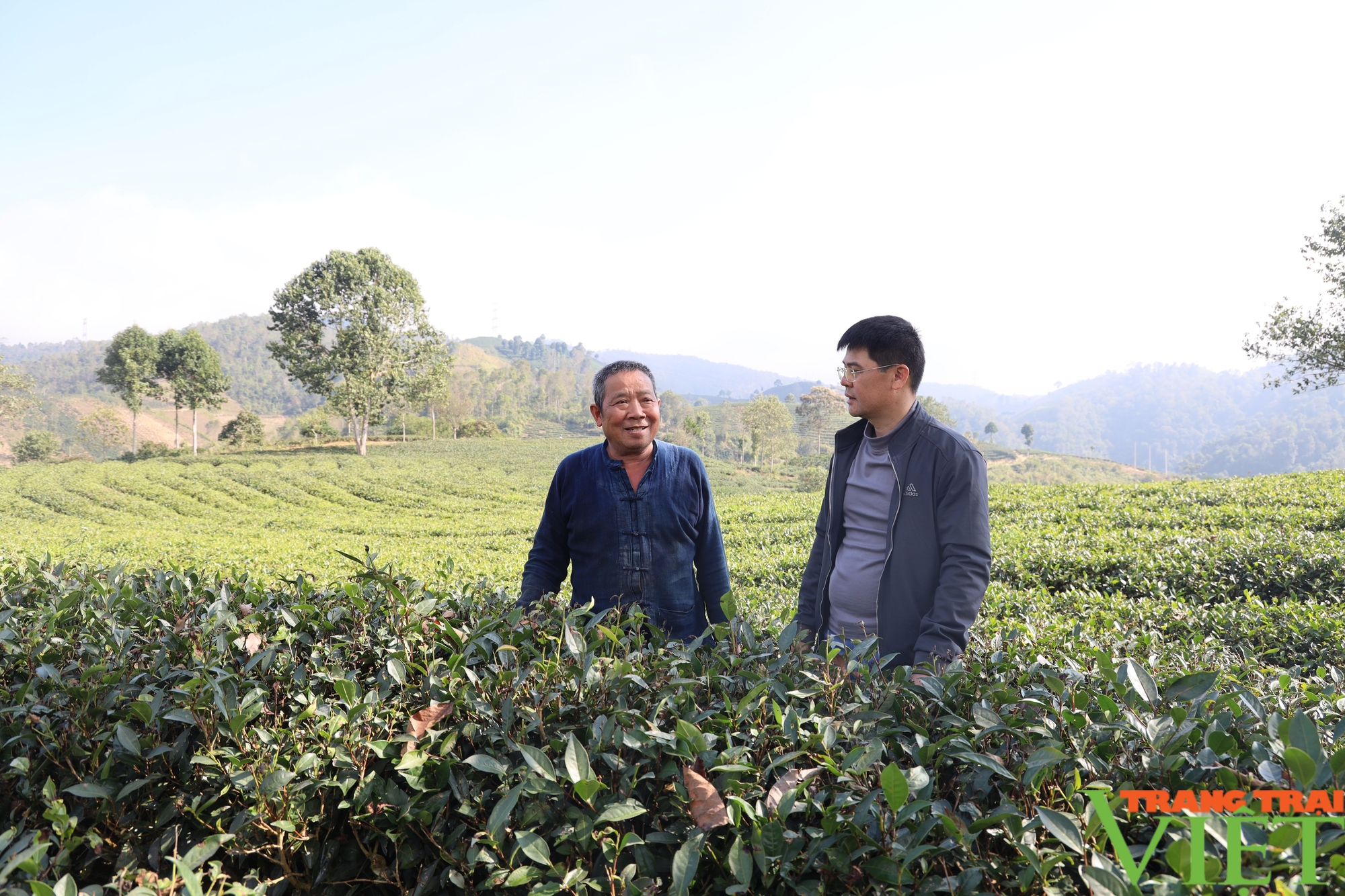 Nâng cao tiêu chí thu nhập “đòn bẩy” tạo động lực hoàn thành tiêu chí xây dựng nông thôn mới ở Thuận Châu - Ảnh 1.