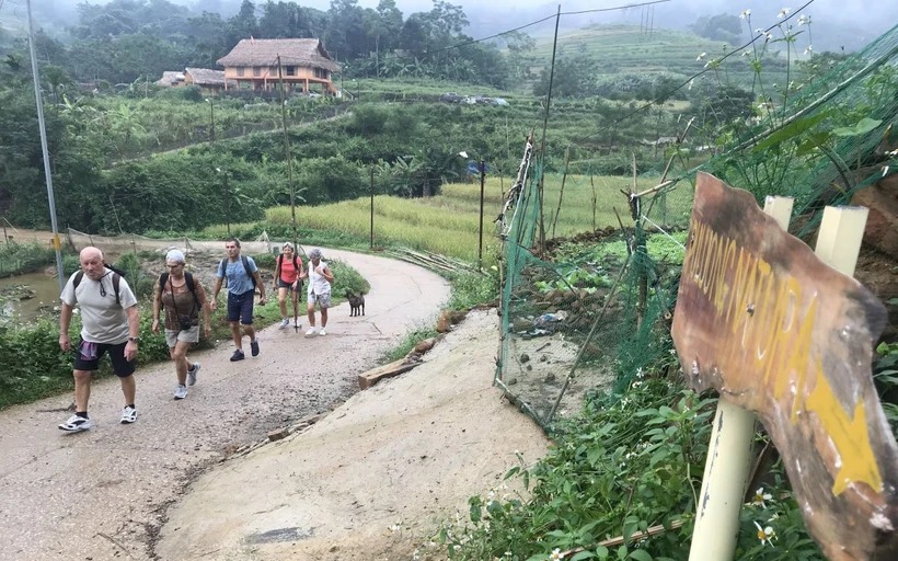 Nuôi gà trống thiến bán Tết, con nào cũng đẹp mã, thịt thơm, nông dân Thái Nguyên bán hút hàng - Ảnh 2.