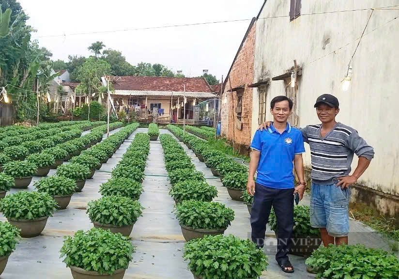 Quảng Ngãi: Những điểm sáng trong công tác Hội và phong trào nông dân huyện Bình Sơn - Ảnh 8.