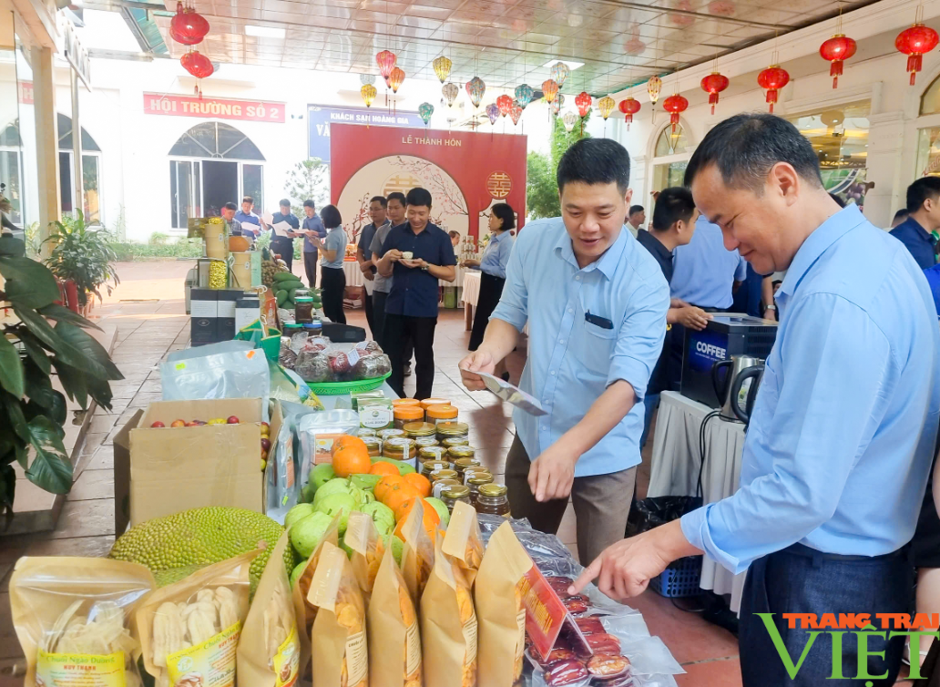 Nông thôn mới Sơn La: Chính sách đúng giúp lòng dân đồng thuận - Ảnh 5.