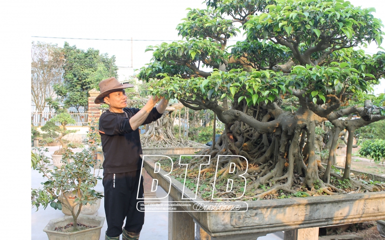 Đặc sản Đà Nẵng, Dân một làng cổ ở Đà Nẵng ngày đêm làm bánh tráng bán dịp Tết - Ảnh 2.