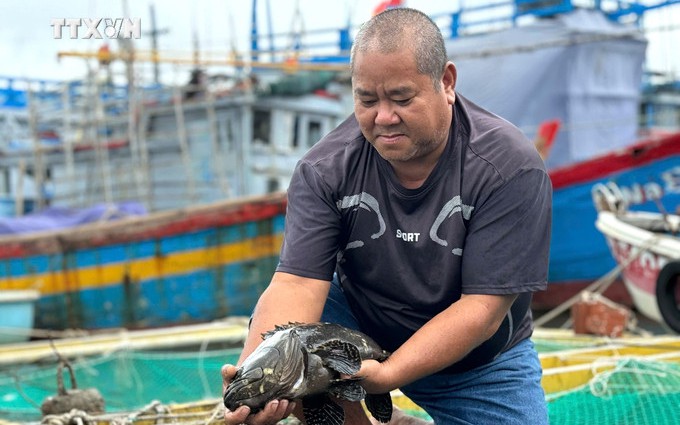 Xáo tam phân là cây gì, quý hiễm cỡ nào mà ở nơi này của Khánh Hòa trồng thành công? - Ảnh 10.