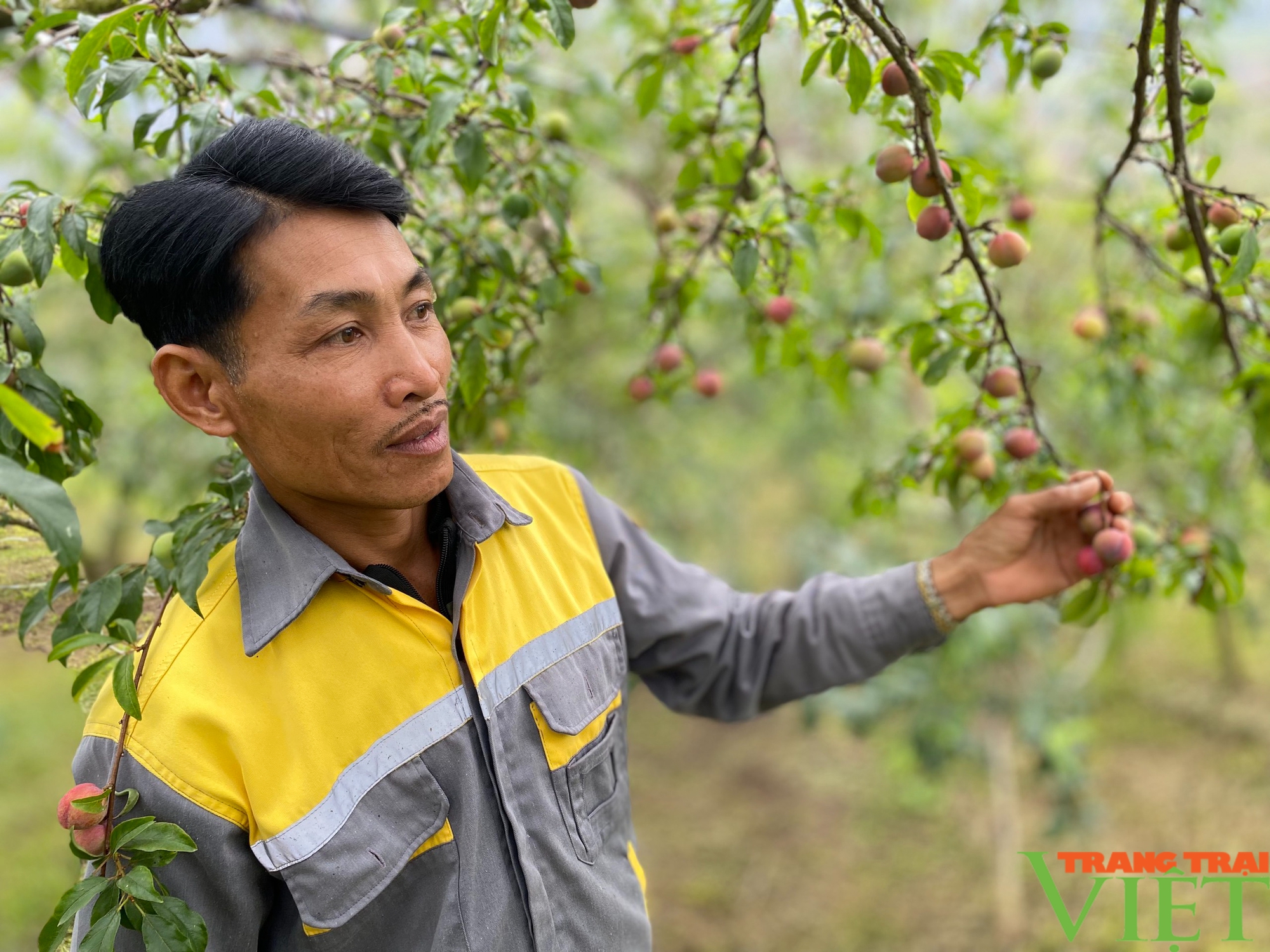 Sức sống mới nơi xã nông thôn mới vùng biên giới  - Ảnh 2.