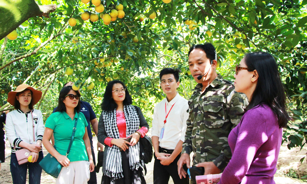 Phó Tổng Biên tập Báo Bắc Giang Trần Văn Đức: Vinh dự khi loạt bài "tái cơ cấu nông nghiệp" đoạt giải - Ảnh 4.