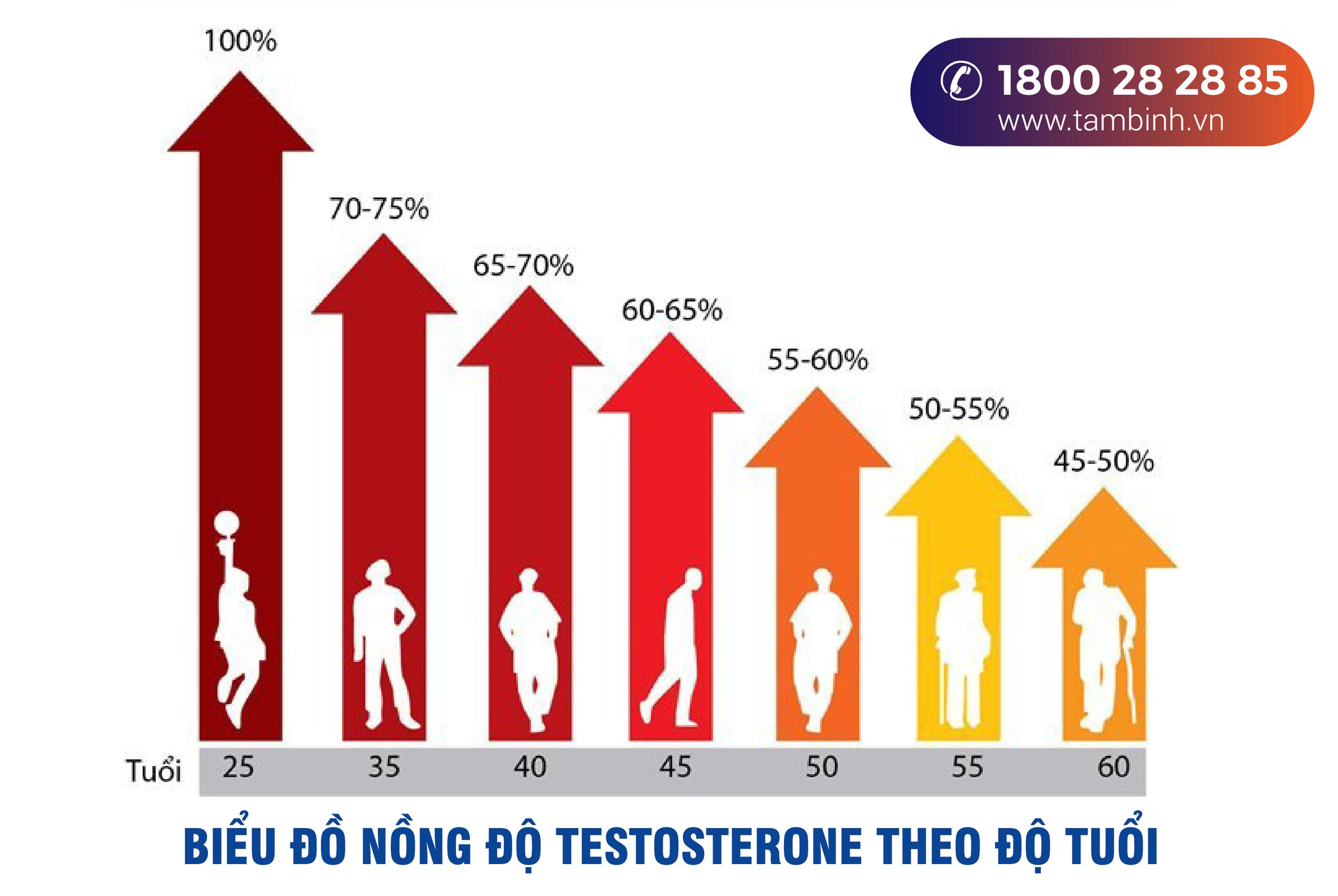 Quý ông tuổi 40: Bí quyết vững sức khỏe, cường phong độ - Ảnh 1.