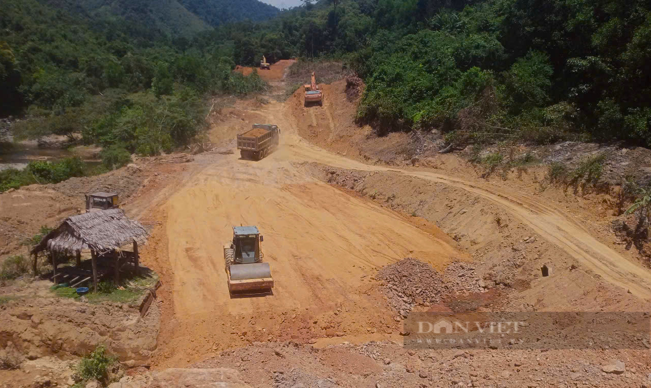 Dự án giao thông hơn 229 tỷ đồng ở Quảng Trị “mắc kẹt” vì không ai mua đấu giá rừng- Ảnh 3.