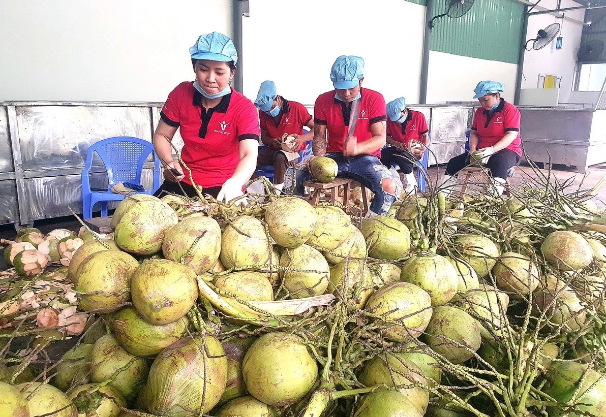 Muốn mở rộng thị trường xuất khẩu, nông sản Việt bắt buộc phải có tiêu chuẩn chất lượng an toàn - Ảnh 4.