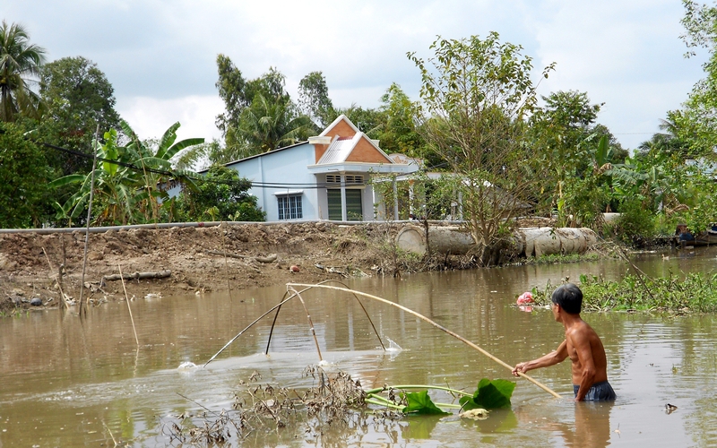 Nuôi gà đệm lót sinh học ở Lào Cai, con nào cũng khỏe, luộc rang ăn ngọt như thêm mì chính - Ảnh 2.