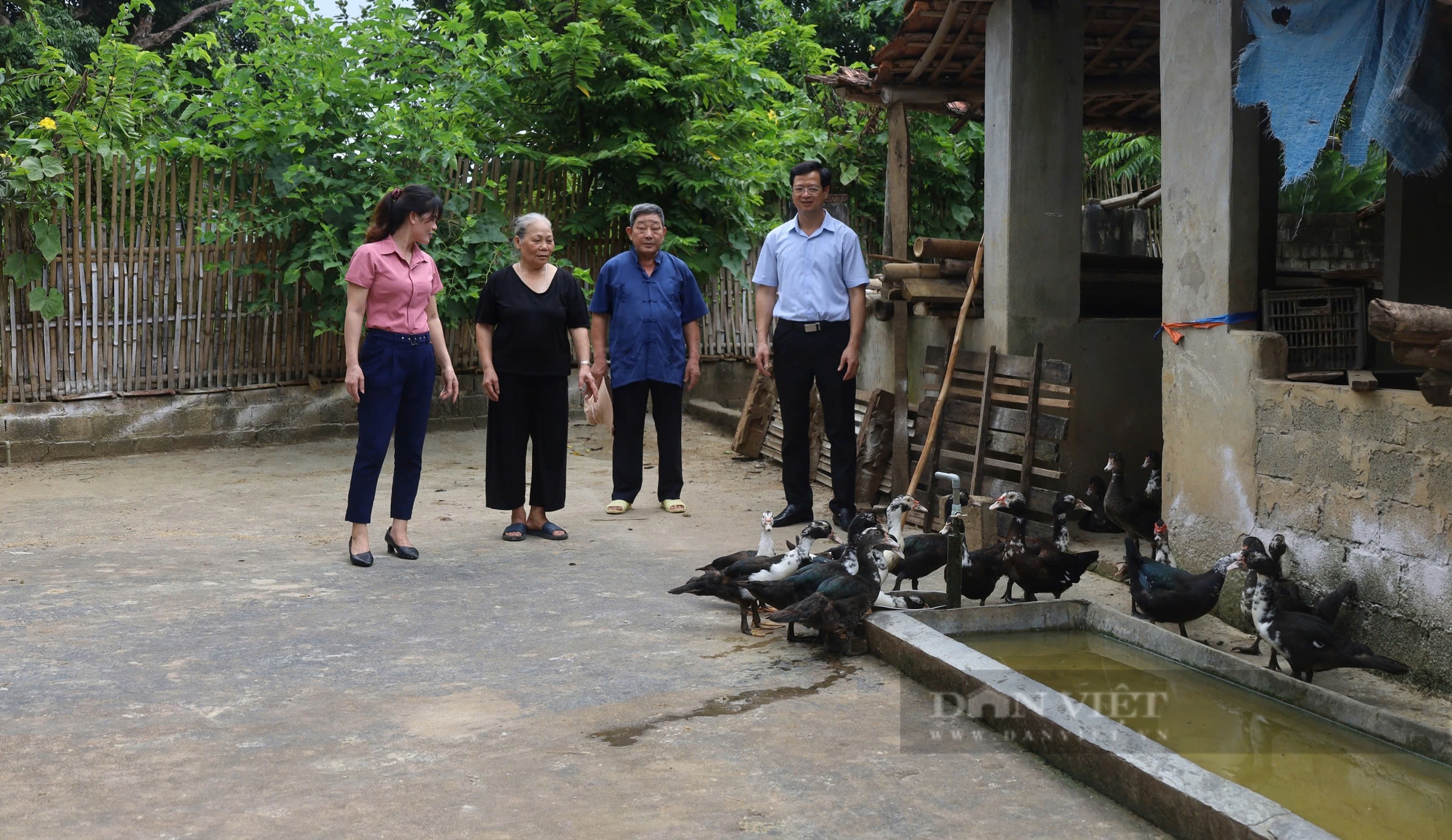 Xây dựng mô hình chăn nuôi gà đệm lót sinh học ở Lào Cai - Ảnh 4.