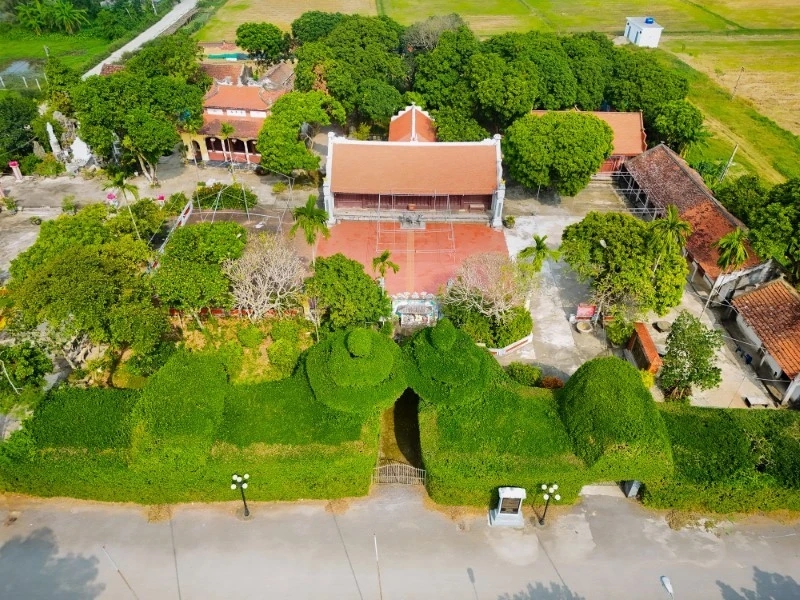 Chiêm ngưỡng rặng ruối cổ trăm năm bao bọc đình thờ "nữ tình báo" đầu tiên - Ảnh 1.