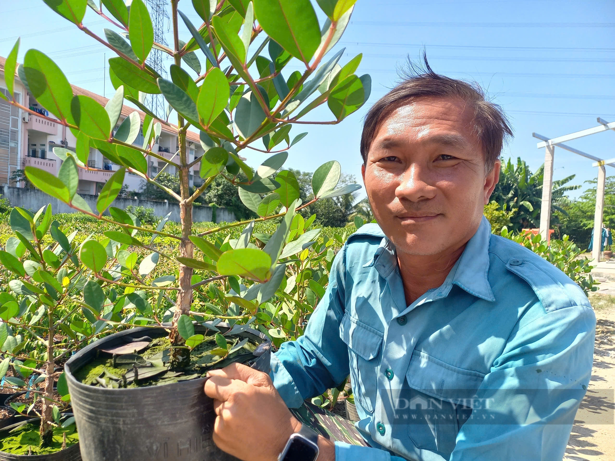 Làm bonsai cây dân dã nghe tên đã lắc đầu, giá 1,5 triệu đồng/cặp, anh nông dân Long An "cháy" hàng - Ảnh 1.