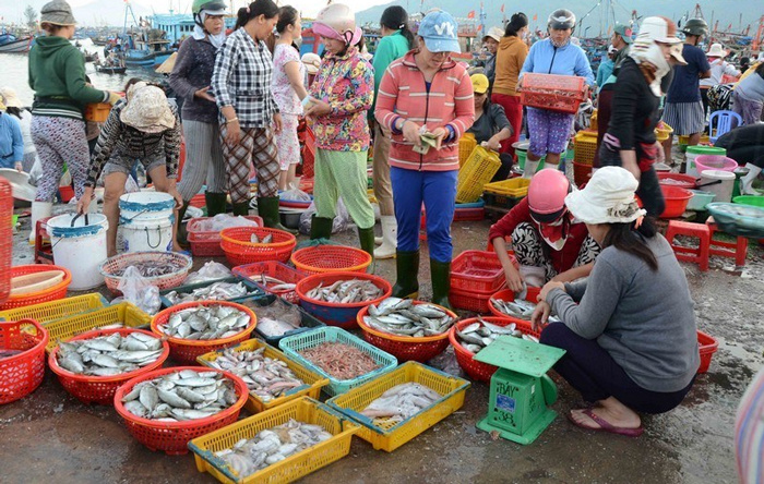 Bí ẩn về loài cá các nhà khoa học thế giới bối rối 1 thế kỷ cuối cùng được giải đáp ở chợ Việt Nam - Ảnh 1.