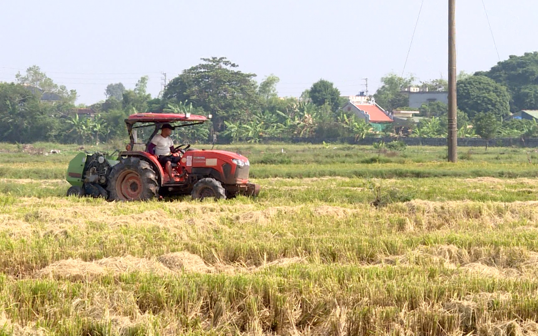 Trồng nấm ví như cây lơ lửng kiểu gì mà một ông nông dân Thái Bình cầm về 1,4 tỷ/năm? - Ảnh 7.