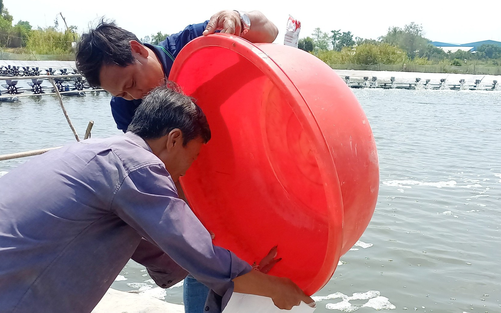 Đắk Nông: Giá cà phê giảm mạnh đột ngột, nhiều đại lý có động thái lạ khiến nông dân rối như tơ vò - Ảnh 3.