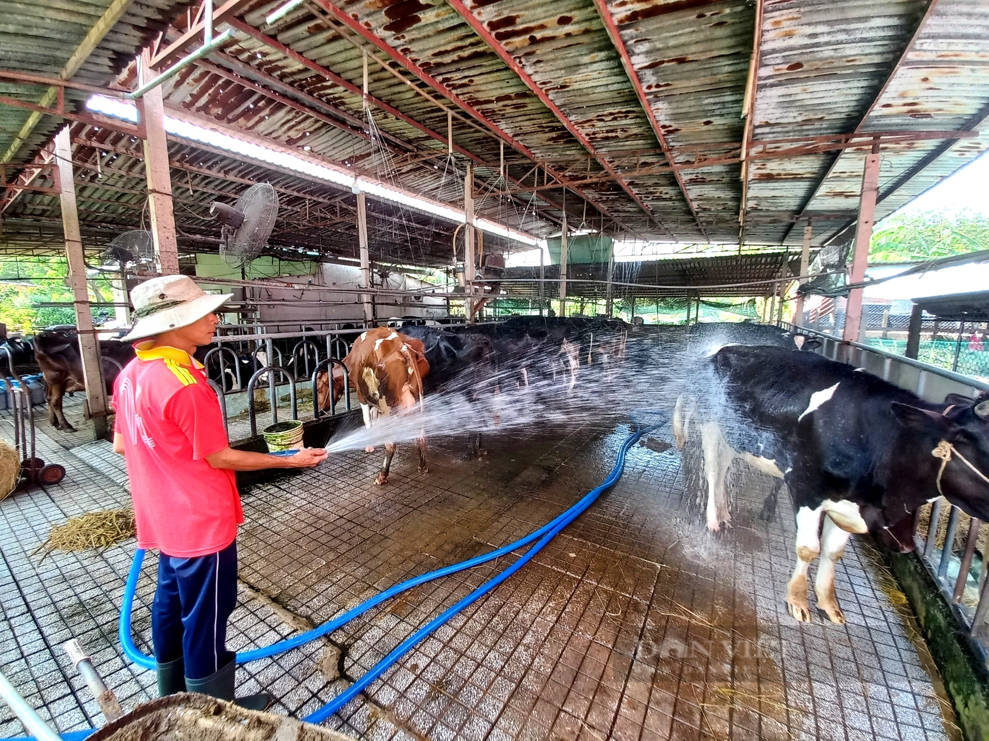 Đẩy mạnh khuyến nông làm kinh tế tuần hoàn trong chăn nuôi - Ảnh 2.