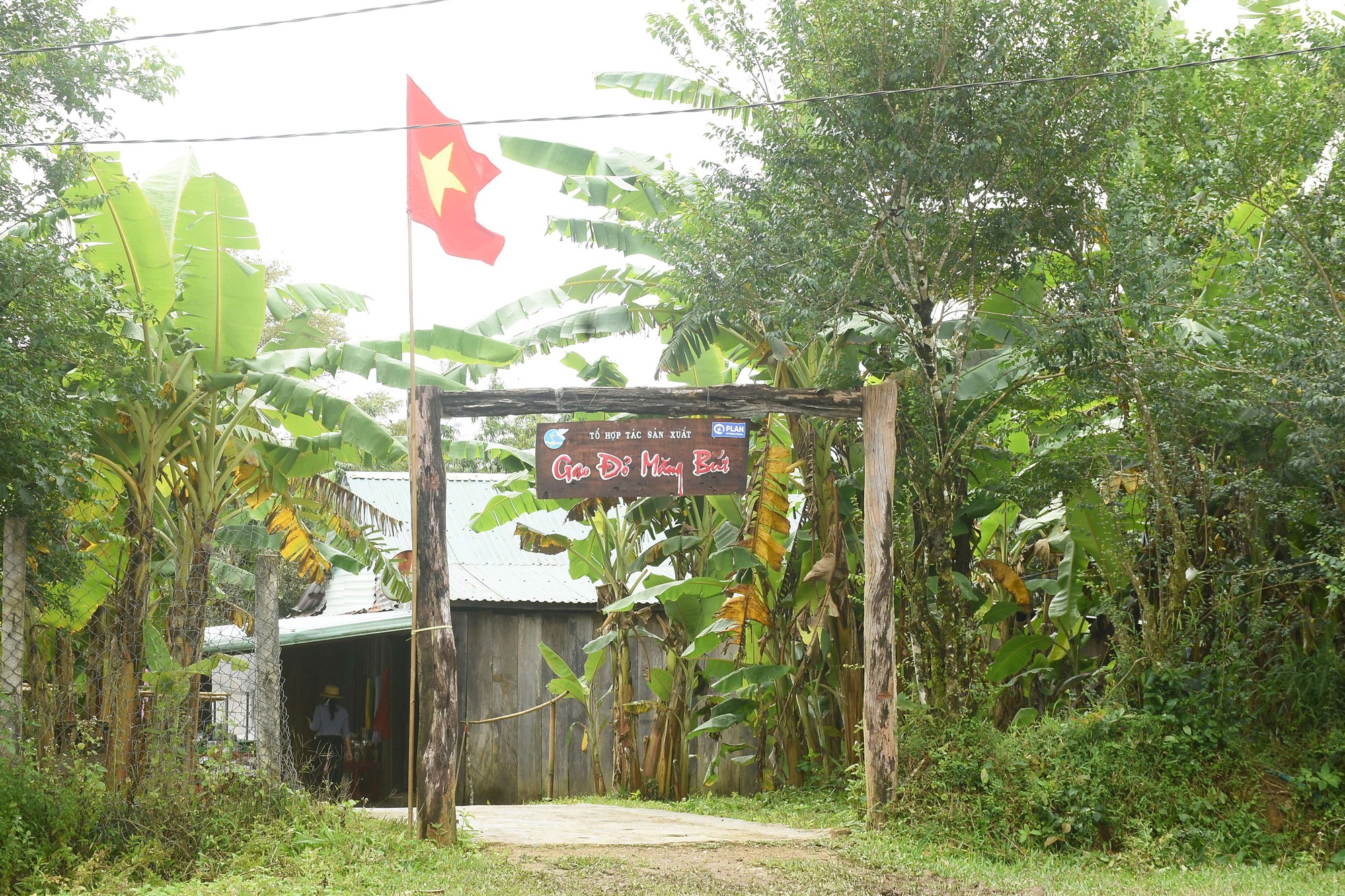 Cổng nhà nông thôn mới ở nơi này của Kon Tum, nhà nào cũng làm bằng gỗ lũa, cuốn hút đến kỳ lạ- Ảnh 2.