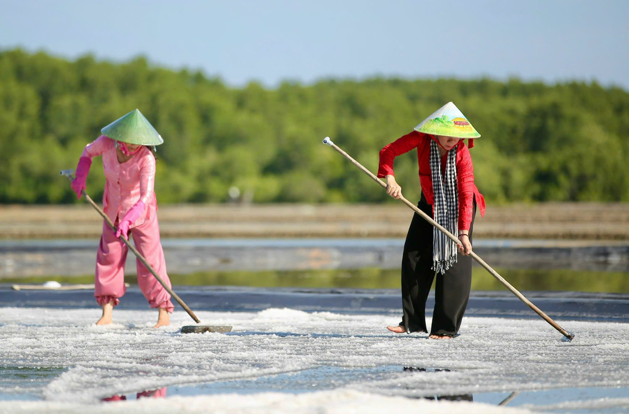 Phía sau Hướng đi nào giúp du lịch nông nghiệp nông thôn TP.HCM giữ chân du khách  - Ảnh 4.