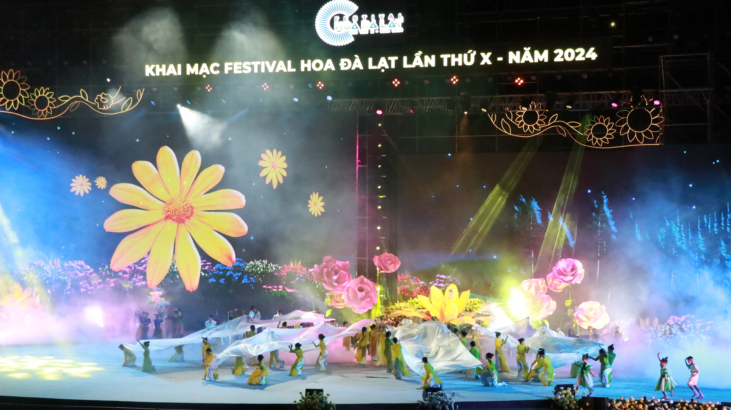 Hàng vạn người chịu lạnh 17 độ xem Khai mạc Festival hoa Đà Lạt lần thứ X - Ảnh 3.