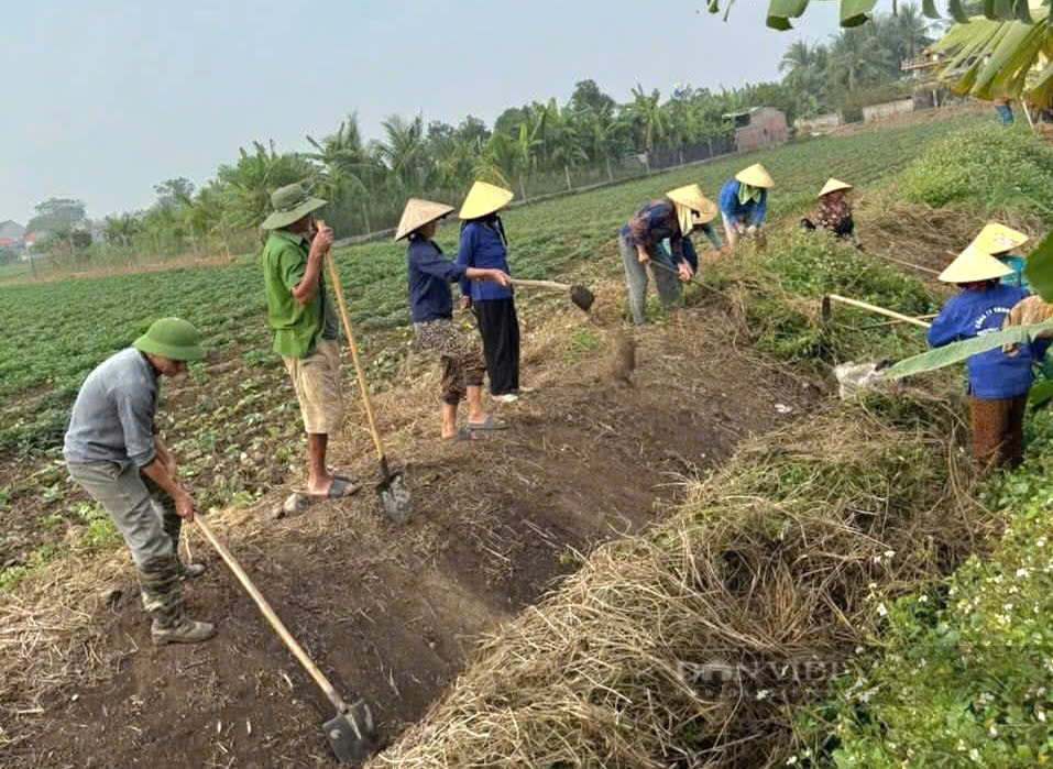 Thanh Hóa: Đồng loạt ra quân nạo vét kênh mương, khơi thông dòng chảy - Ảnh 3.