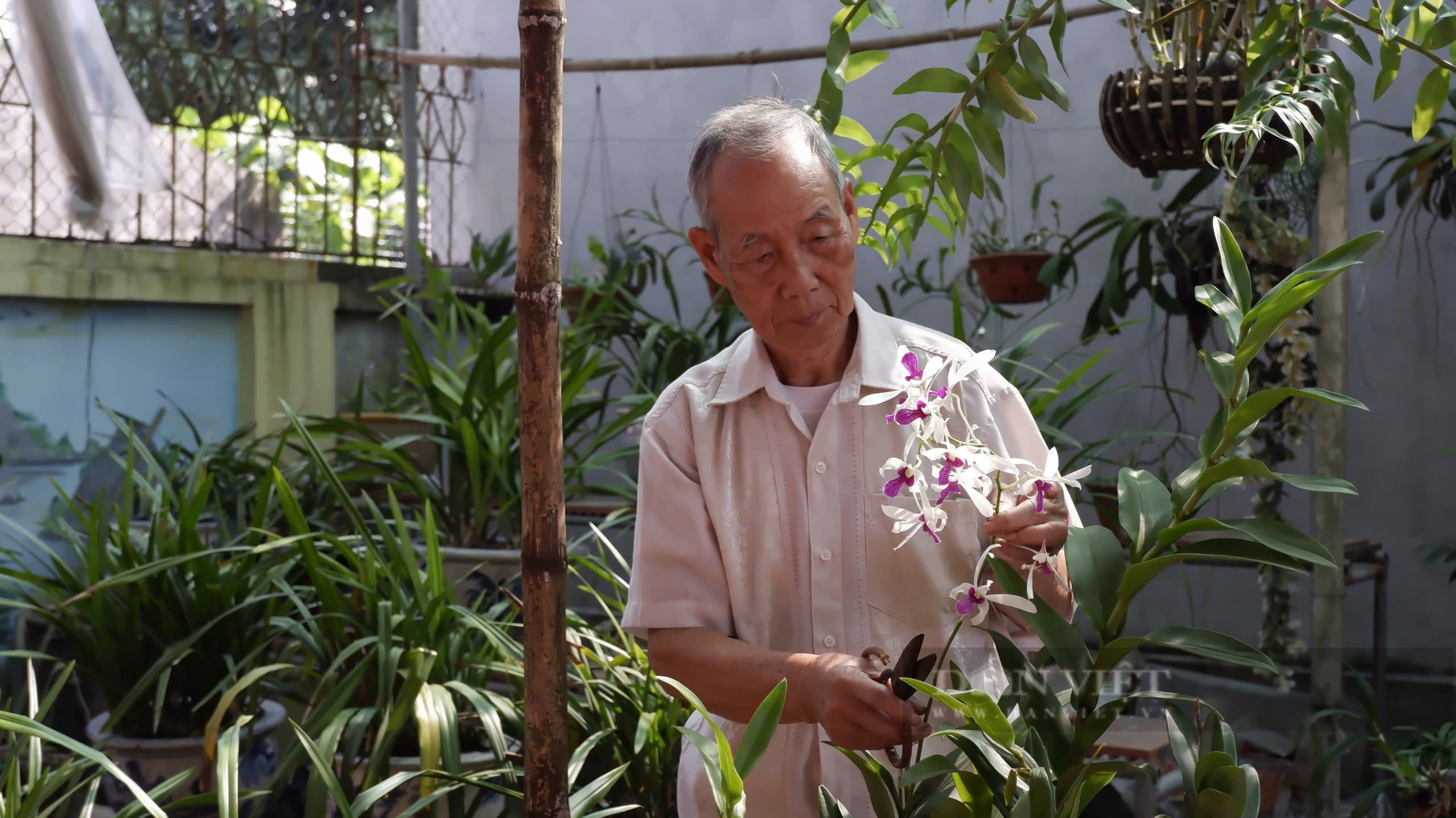 Nguyễn Cảnh Hưng: Chuyện người thương binh làm giàu từ đá - Ảnh 4.