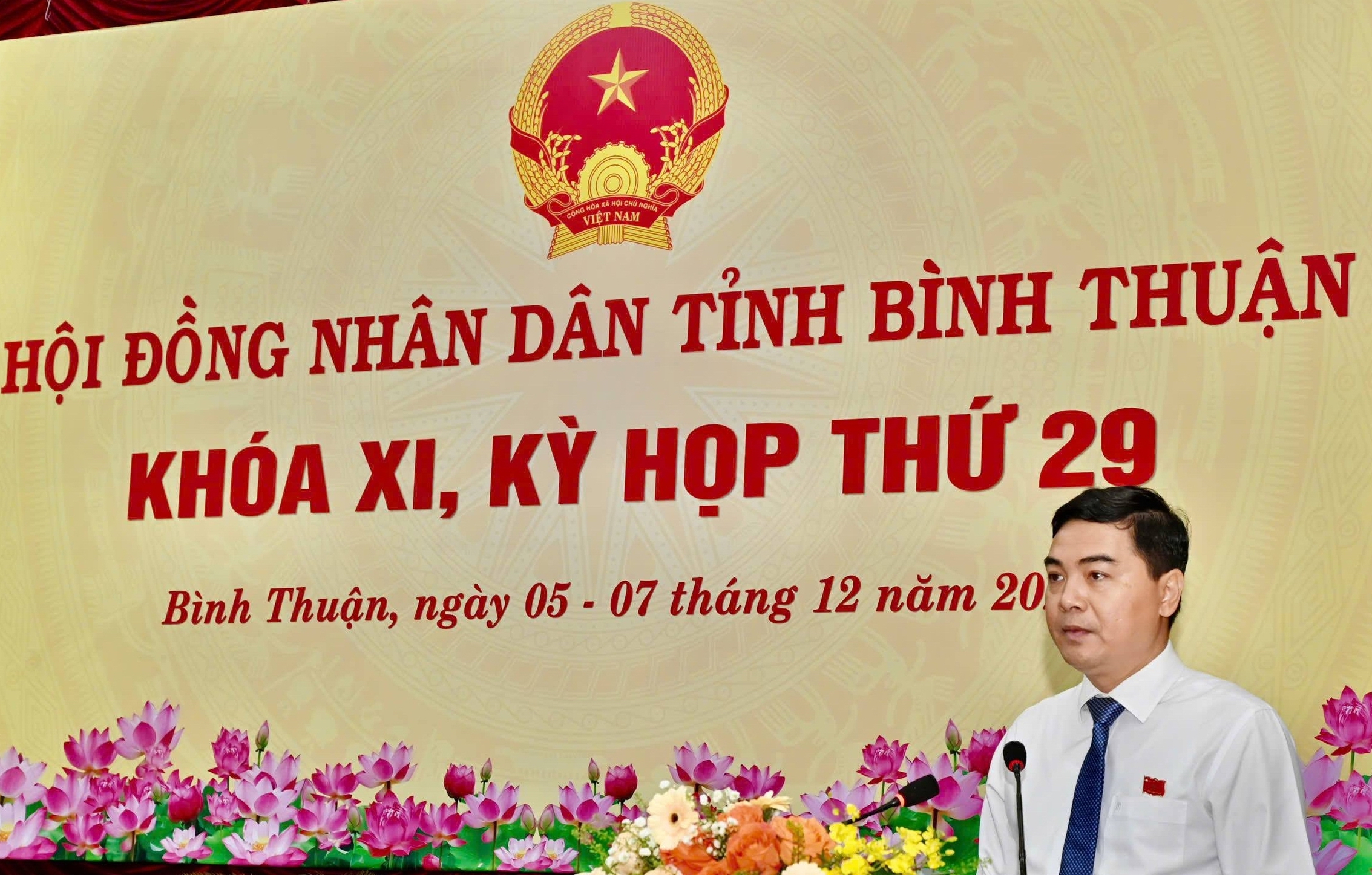 Bình Thuận: Thông qua chủ trương chuyển hơn 14 ha rừng trồng làm đường giao thông để phát triển kinh tế - Ảnh 1.