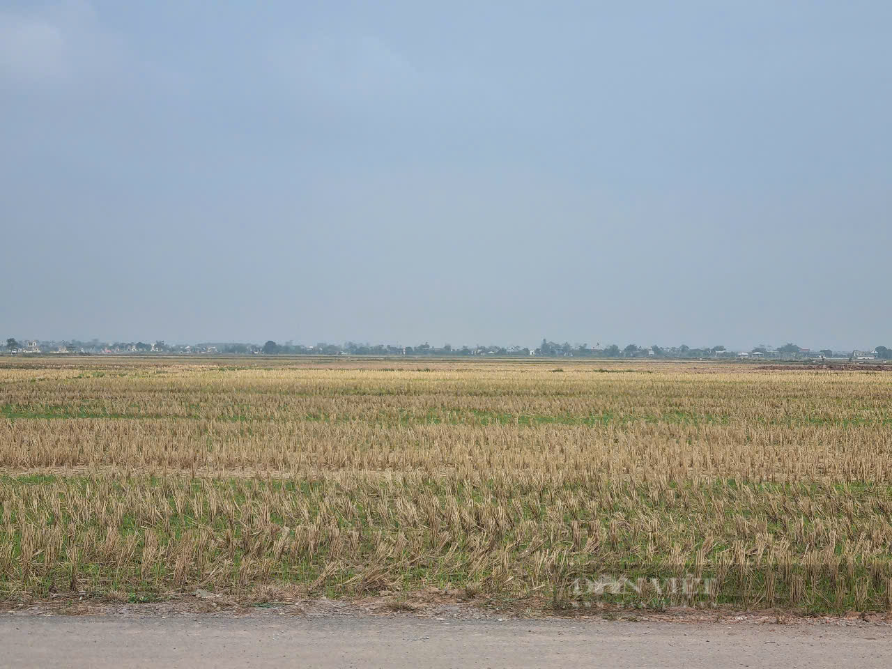 Ninh Bình: Tình trạng múc đất mặt ruộng vận chuyển đi nơi khác vẫn tiếp diễn - Ảnh 3.