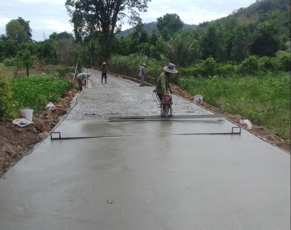 Bình Thuận: Thông qua chủ trương chuyển hơn 14 ha rừng trồng làm đường giao thông để phát triển kinh tế - Ảnh 2.