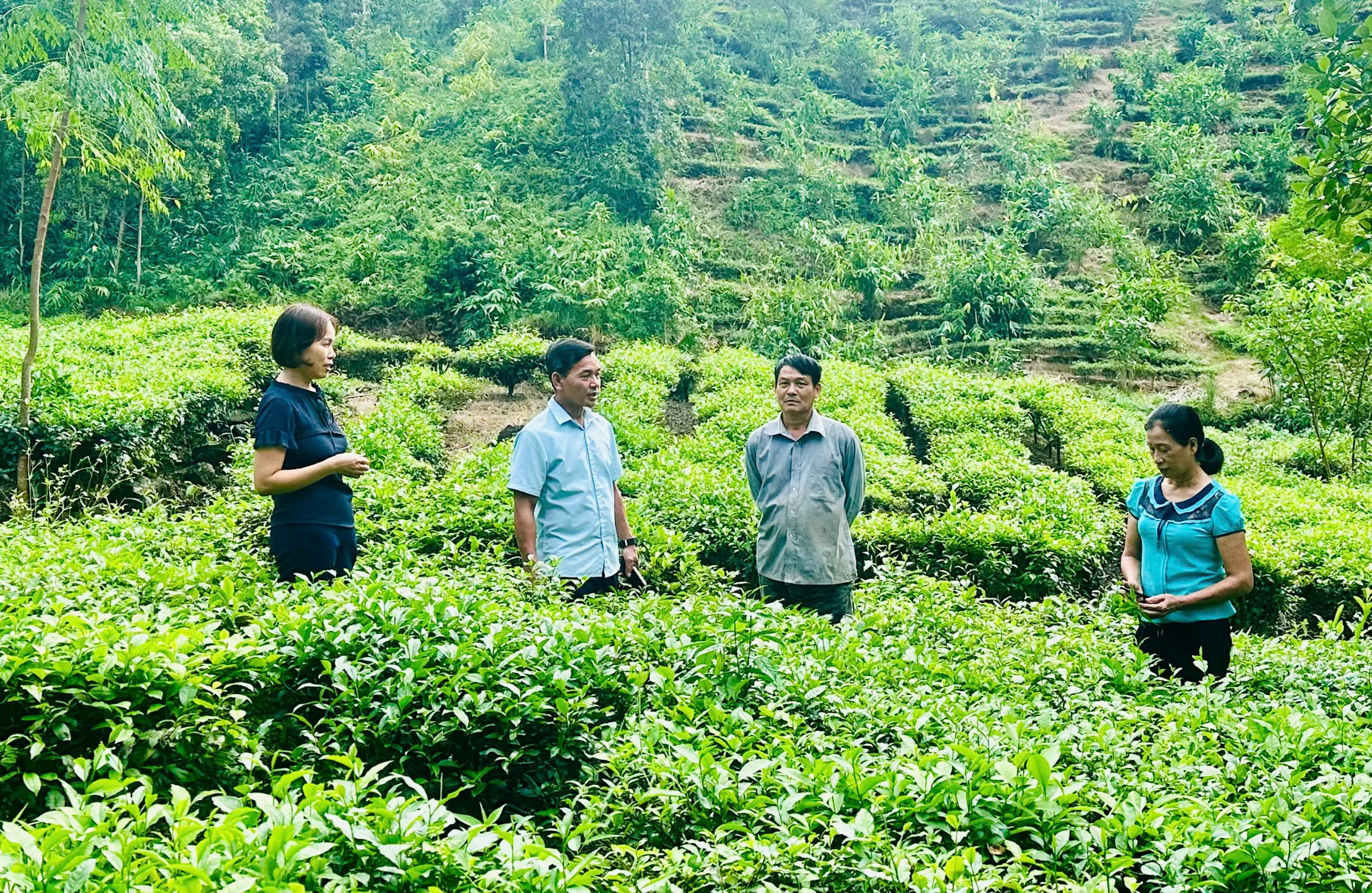 Đời sống người dân biên cương Hà Giang thay đổi tích cực nhờ Chương trình mục tiêu Quốc gia- Ảnh 3.