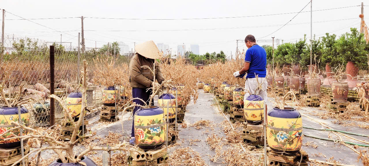 Giải báo chí về nông nghiệp, nông dân, nông thôn: Tiếng nói phản biện của những nhà báo "tam nông" - Ảnh 3.