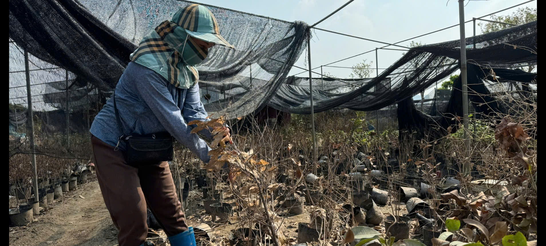 Giải báo chí về nông nghiệp, nông dân, nông thôn: Tiếng nói phản biện của những nhà báo "tam nông" - Ảnh 2.