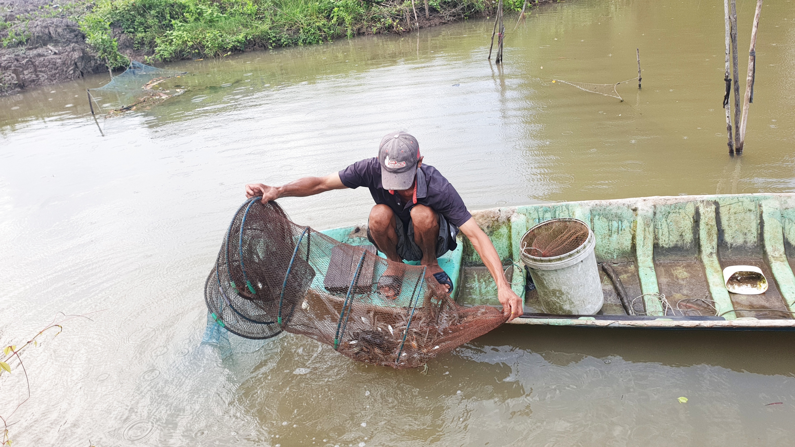 Cà Mau đẩy mạnh áp dụng công nghệ vào phục vụ nông dân- Ảnh 2.