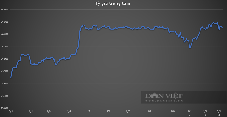 Giá USD hôm nay 8/12: Thế giới có tuần giằng co, tỷ giá "chợ đen" duy trì trên 25.700 VND/USD- Ảnh 2.