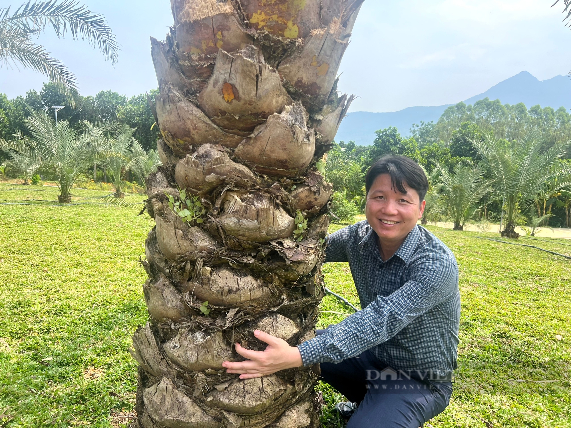 Nông dân Phú Thọ gửi tới Hội nghị Thủ tướng đối thoại với nông dân, gỡ vướng về chuyển đổi đất lúa- Ảnh 5.