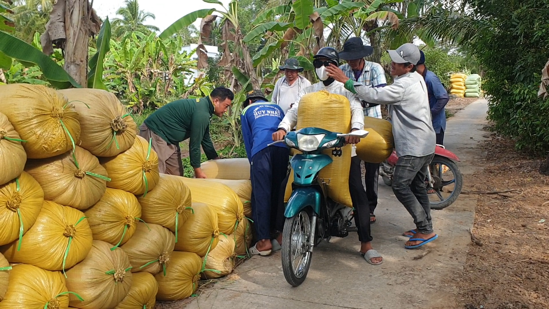 Cà Mau đổi mới nội dung, phương thức hoạt động để phát huy vai trò sức mạnh- Ảnh 3.