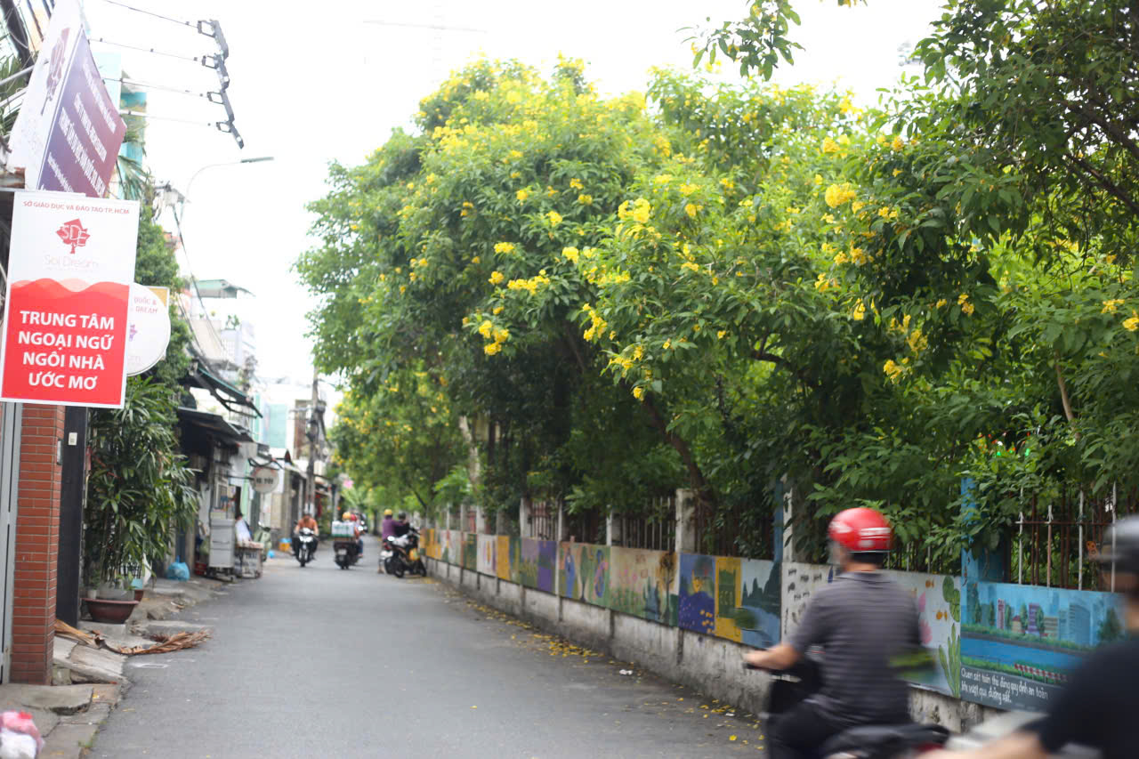 Hoa huỳnh liên ven đường ray khoe sắc vàng những tháng cuối năm - Ảnh 4.