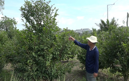 Điện Thái Hòa uy nghiêm vương triều nhà Nguyễn, tất cả các hoàng đế đều đăng quang tại đây - Ảnh 8.