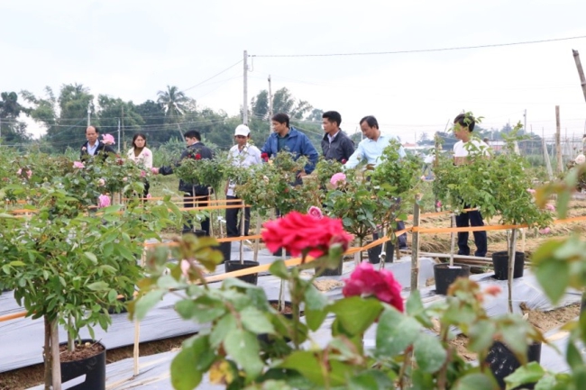 Quảng Ngãi: Phát triển làng hoa Nghĩa Hà thành vùng chuyên canh sản xuất sạch gắn với du lịch cộng đồng - Ảnh 2.