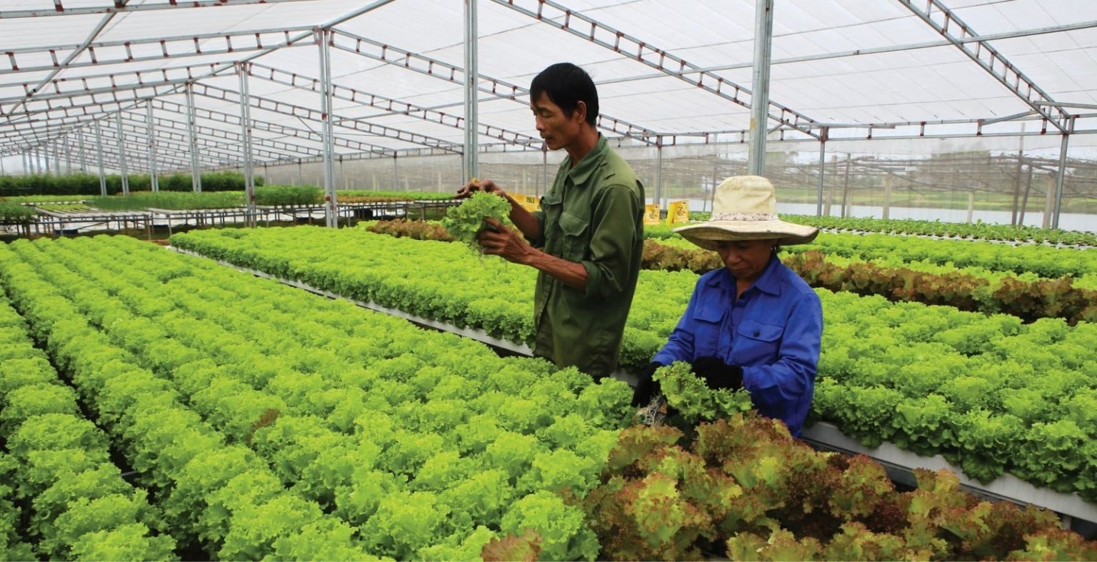 Nâng cao chất lượng sản phẩm cung ứng qua chuỗi thực phẩm an toàn - Ảnh 2.