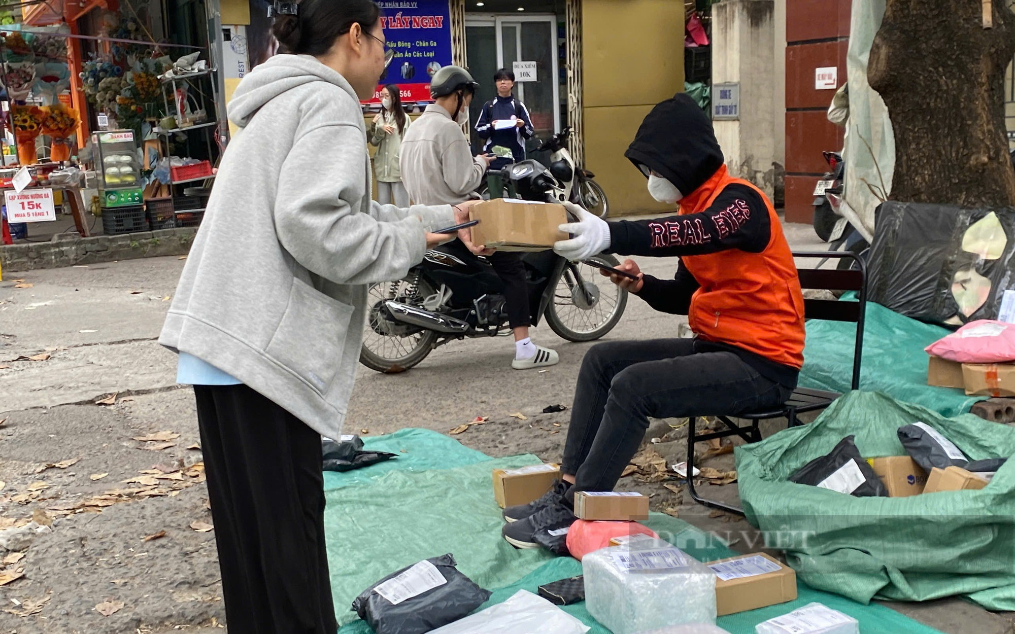 Cành mận rừng như khúc "củi khô" có giá tiền triệu ở Hà Nội - Ảnh 2.