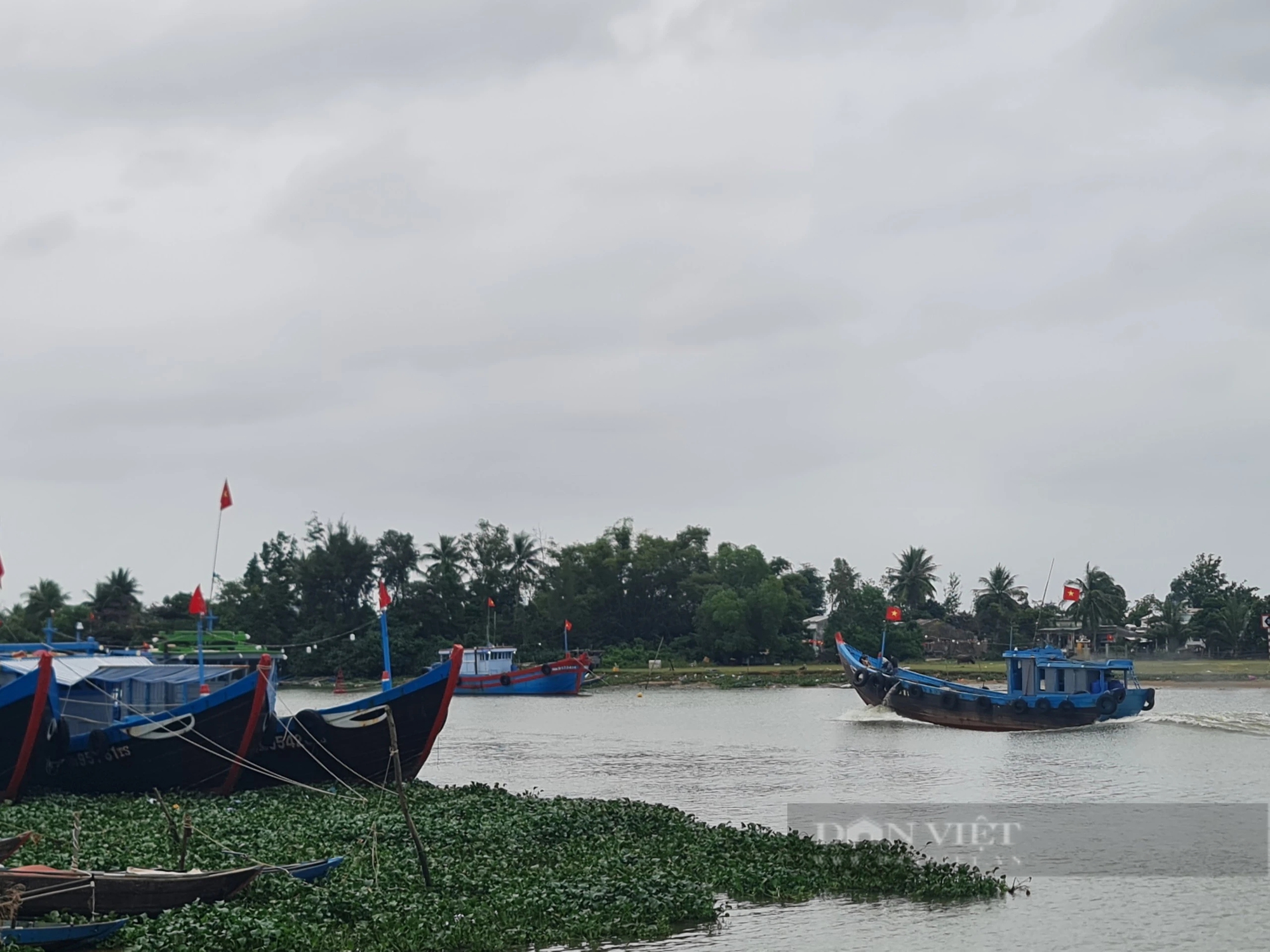 Sáng mùng 1 Tết, ngư dân Quảng Nam nhổ neo xuất bến lấy lộc, mong trời yên biển lặng, tôm cá đầy khoang- Ảnh 4.