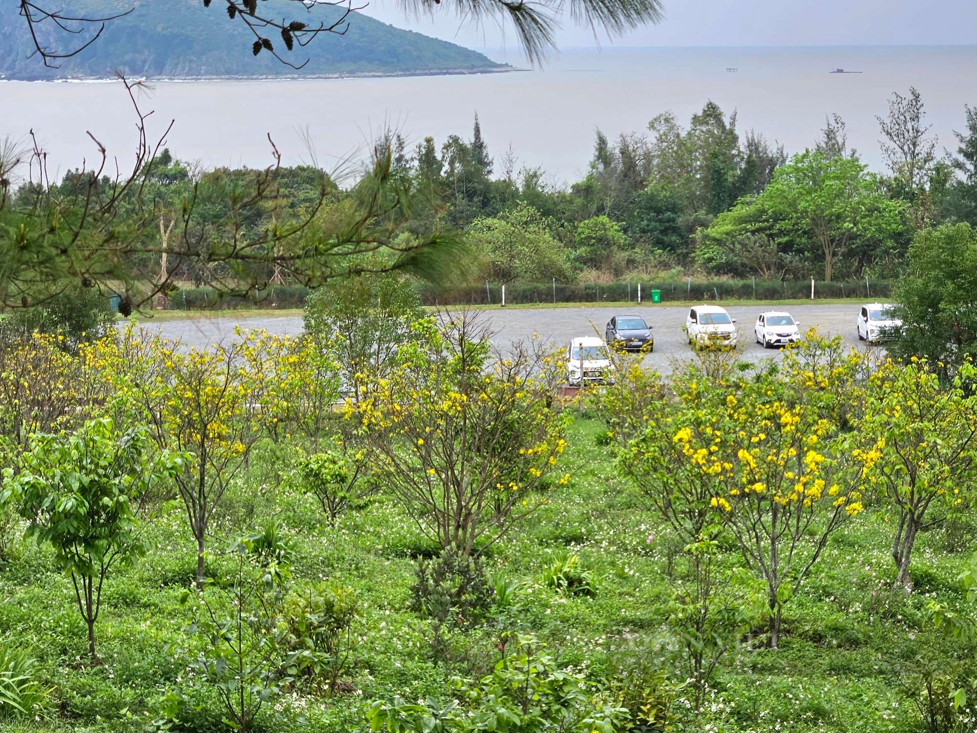 On the first day of Tet, a stream of people came to visit the grave of General Vo Nguyen Giap - Photo 3.