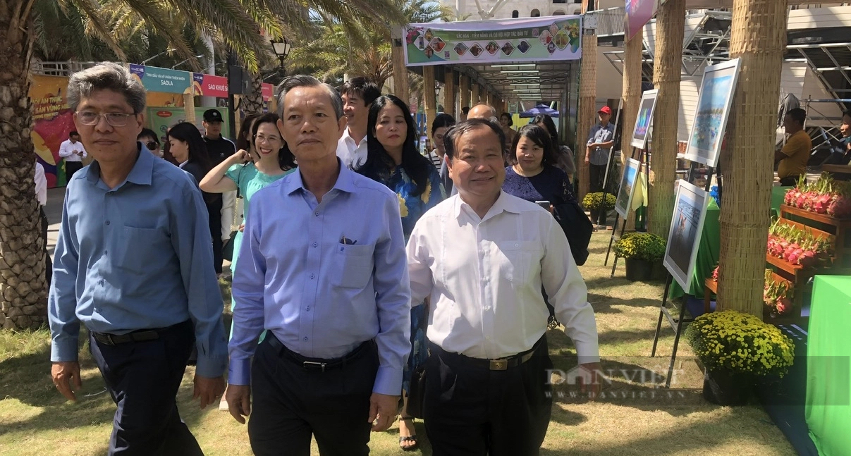 Phó Chủ tịch T.Ư Hội Nông dân Việt Nam dự lễ hội quảng bá các sản phẩm OCOP tại Bình Thuận- Ảnh 1.