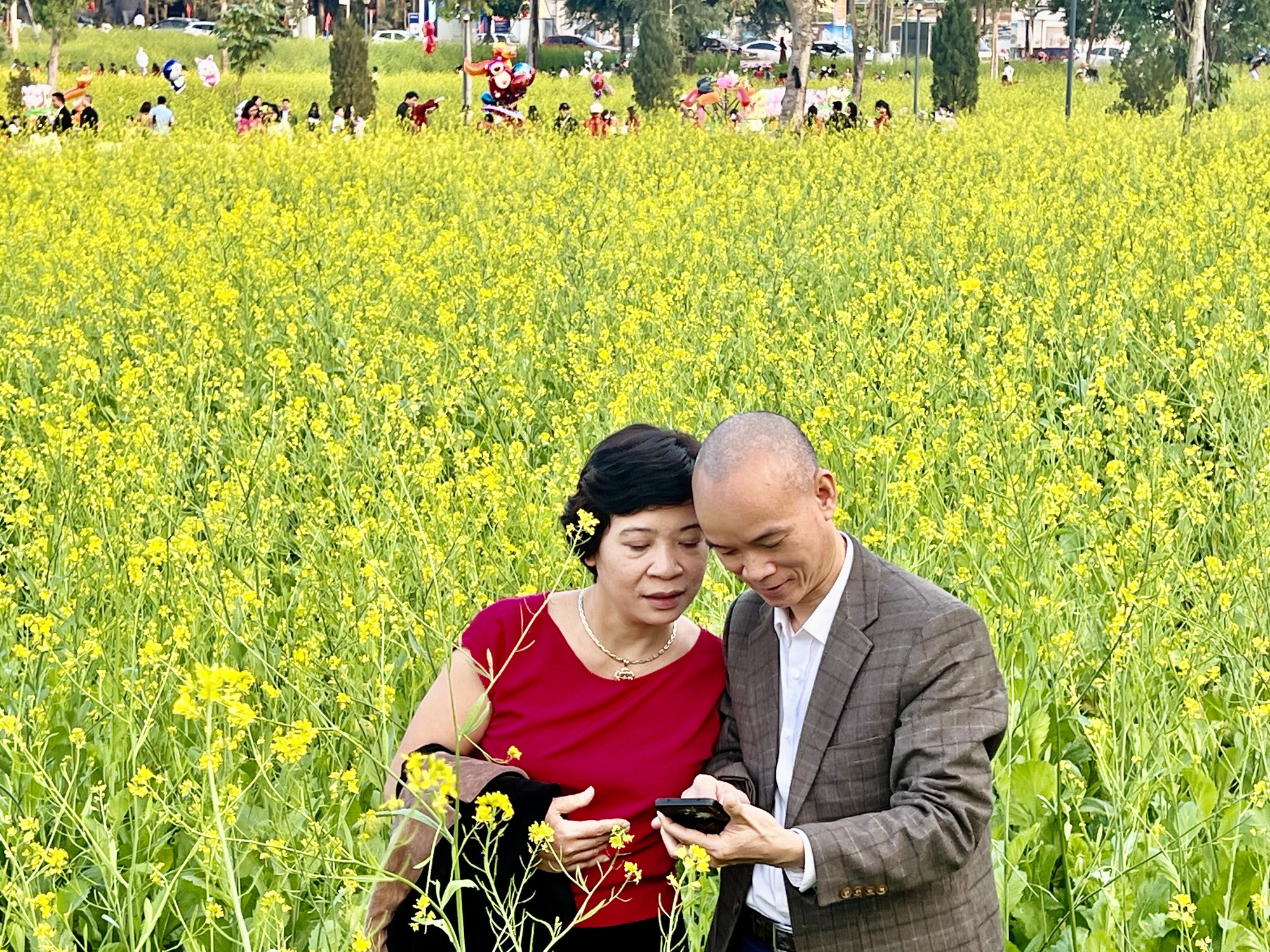 Mê mẩn vườn hoa cải vàng rực ở Phú Thọ, khách check-in quên lối về- Ảnh 8.