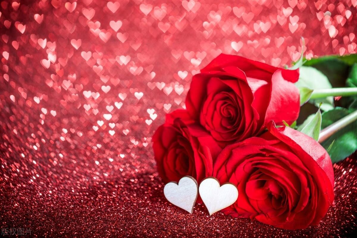66 lời chúc Valentine 2024 ngọt ngào, lãng mạn nhất gửi tặng người yêu, bạn bè và crush- Ảnh 4.