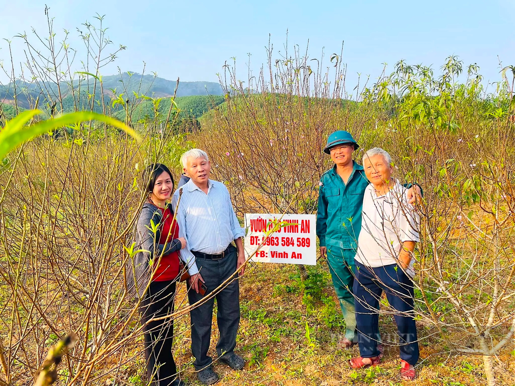 Một làng ở Nghệ An lại xuất hiện nhiều nhà khá, giàu nhờ trồng một loại cây báo hiệu mùa xuân- Ảnh 1.