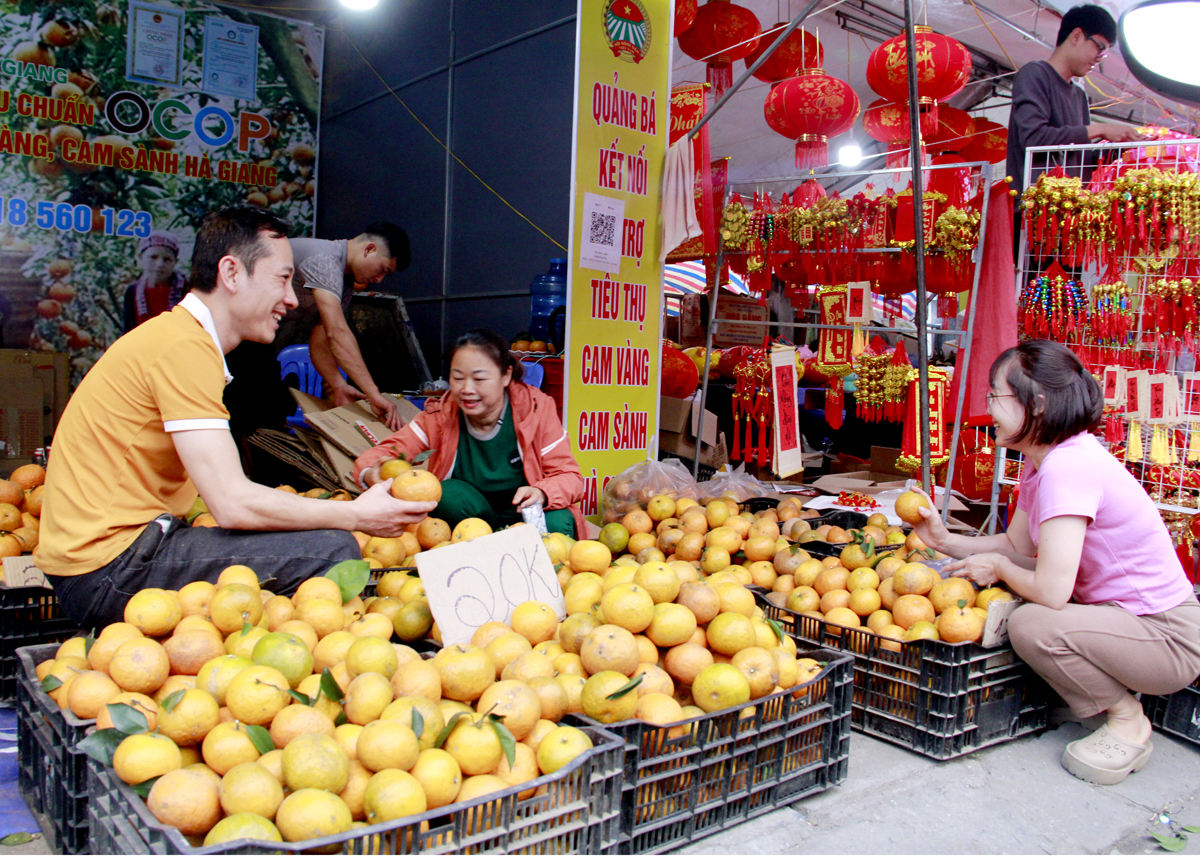 Hội Nông dân tỉnh Hà Giang tổ chức điểm bán cam Sành phục vụ Tết 2024- Ảnh 1.