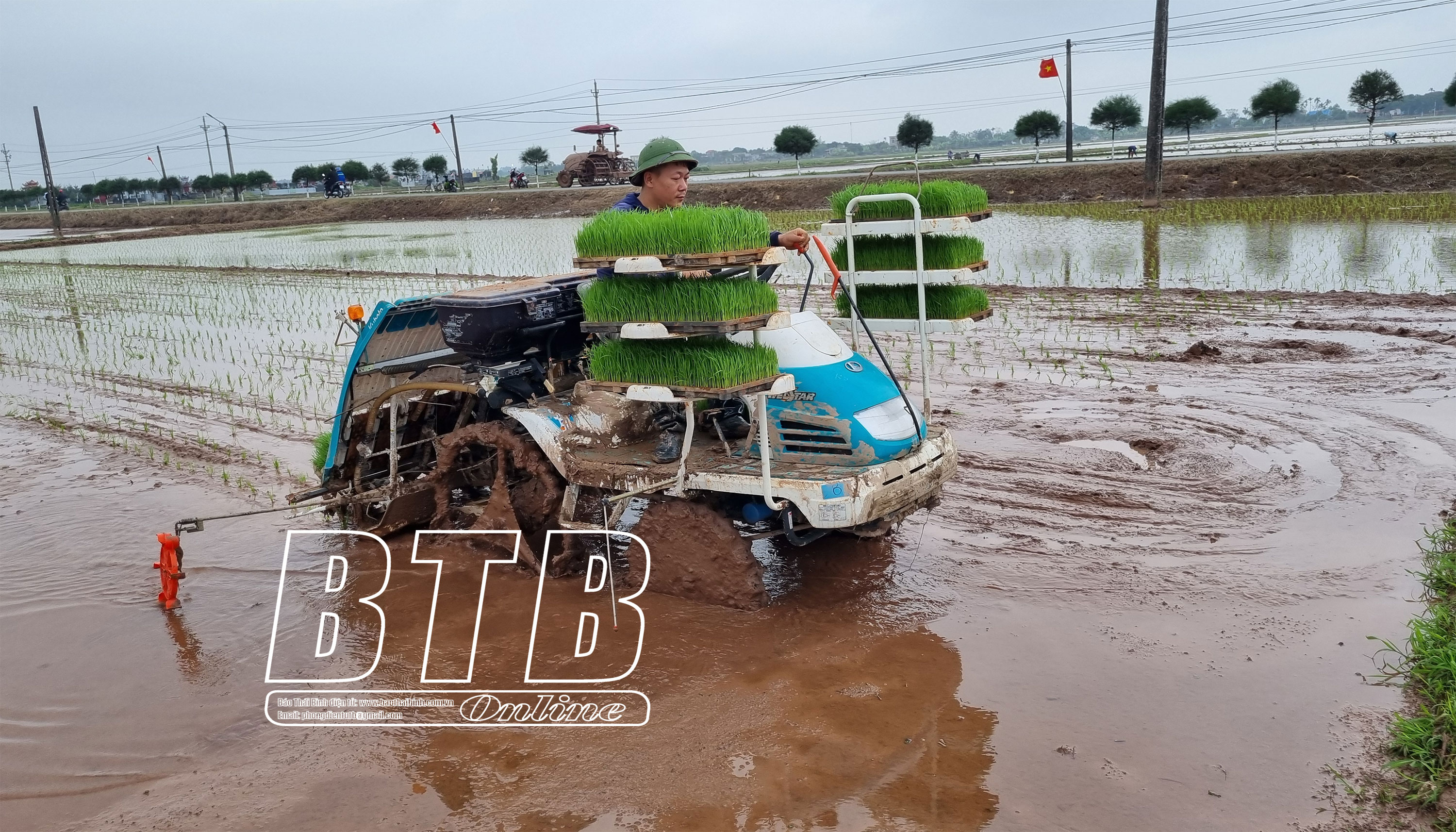 Đưa những cỗ máy nhiều tầng xuống đồng, một huyện của tỉnh Thái Bình sớm phủ xanh 5.000ha diện tích lúa - Ảnh 1.