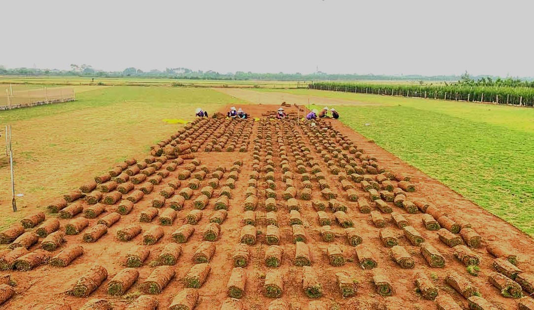 Một xã ở Nam Định vừa được công nhận nông thôn mới kiểu mẫu có trường học đạt chuẩn quốc gia, wifi phát miễn phí- Ảnh 3.