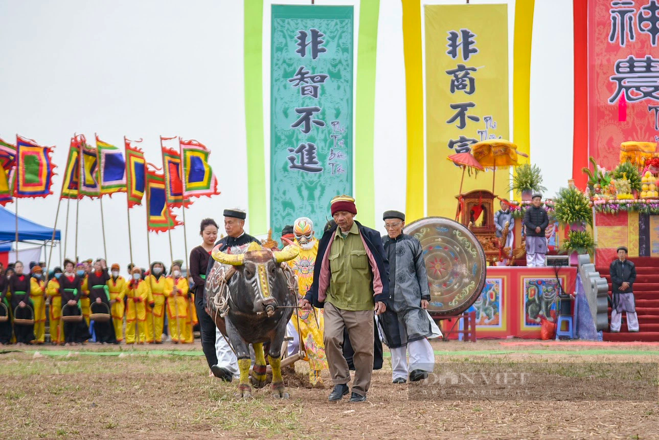 Lần đầu tiên tại Lễ hội Tịch điền Đọi Sơn năm 2024, tổ chức cho nông dân xã Tiên Sơn thi cày ruộng- Ảnh 1.